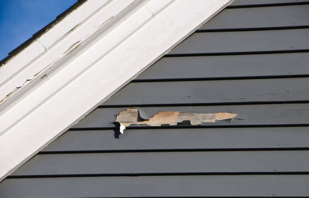 Best Insulated Siding Installation  in Bastrop, LA